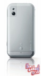 back-vertical_2