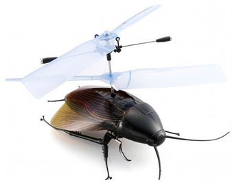 flyingcockroach