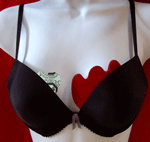 Bra Insert