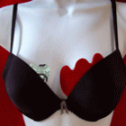 Bra Insert